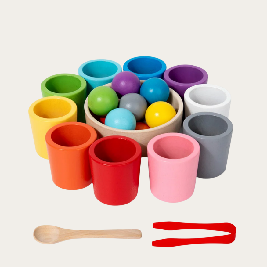 Brain Hunters - kubeczki Montessori estaw Montessori do klasyfikacji kolorów