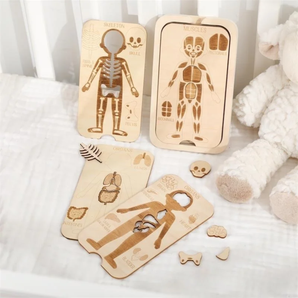 Body Discovery Board - drewniane anatomiczne puzzle Montessori
